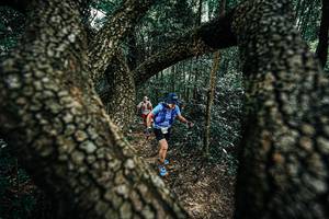 BIB: 
                            <button type="button" onclick="openModal(25392415)" class="btn btn-primary btn-sm float-right btn-popup" data-toggle="modal" data-target=".modal-high-quality">
                        <i class="fas fa-shopping-cart"></i> Add to Cart
                    </button>
                                            <button type="button" onclick="isThisMe(25392415, true)" class="btn btn-success btn-sm float-right btn-popup btn-isme hidden" data-toggle="tooltip" data-placement="bottom" title="นี่คือรูปของคุณใช่ไหม คลิกที่นี่เพื่อเอาเข้าอัลบั้ม">
                        <i class="fas fa-plus"></i> Add to album
                    </button>
                    <button type="button" onclick="isThisMe(25392415, false)" class="btn btn-warning btn-sm float-right btn-popup btn-isnotme hidden">
                        <i class="fas fa-ban"></i> Remove from album
                    </button>